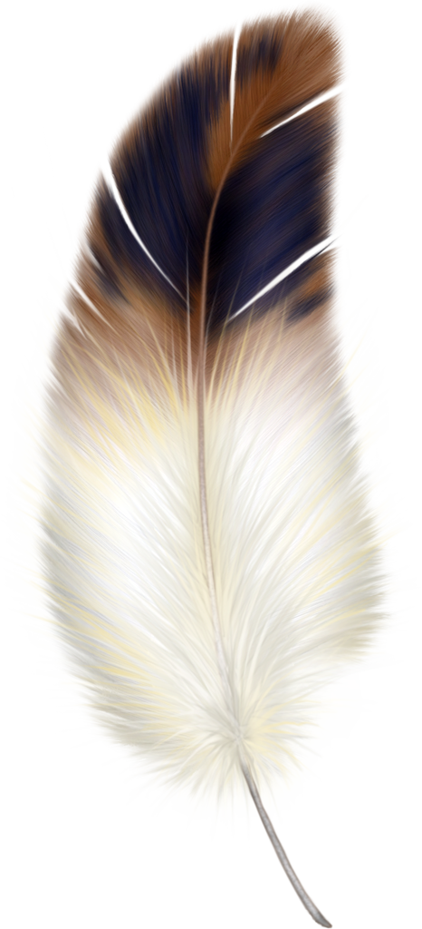 Brown And White Feather (466x1024), Png Download