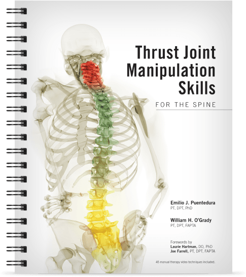 Thrust Joint Manipulation Skills For The Spine - Spine (600x600), Png Download