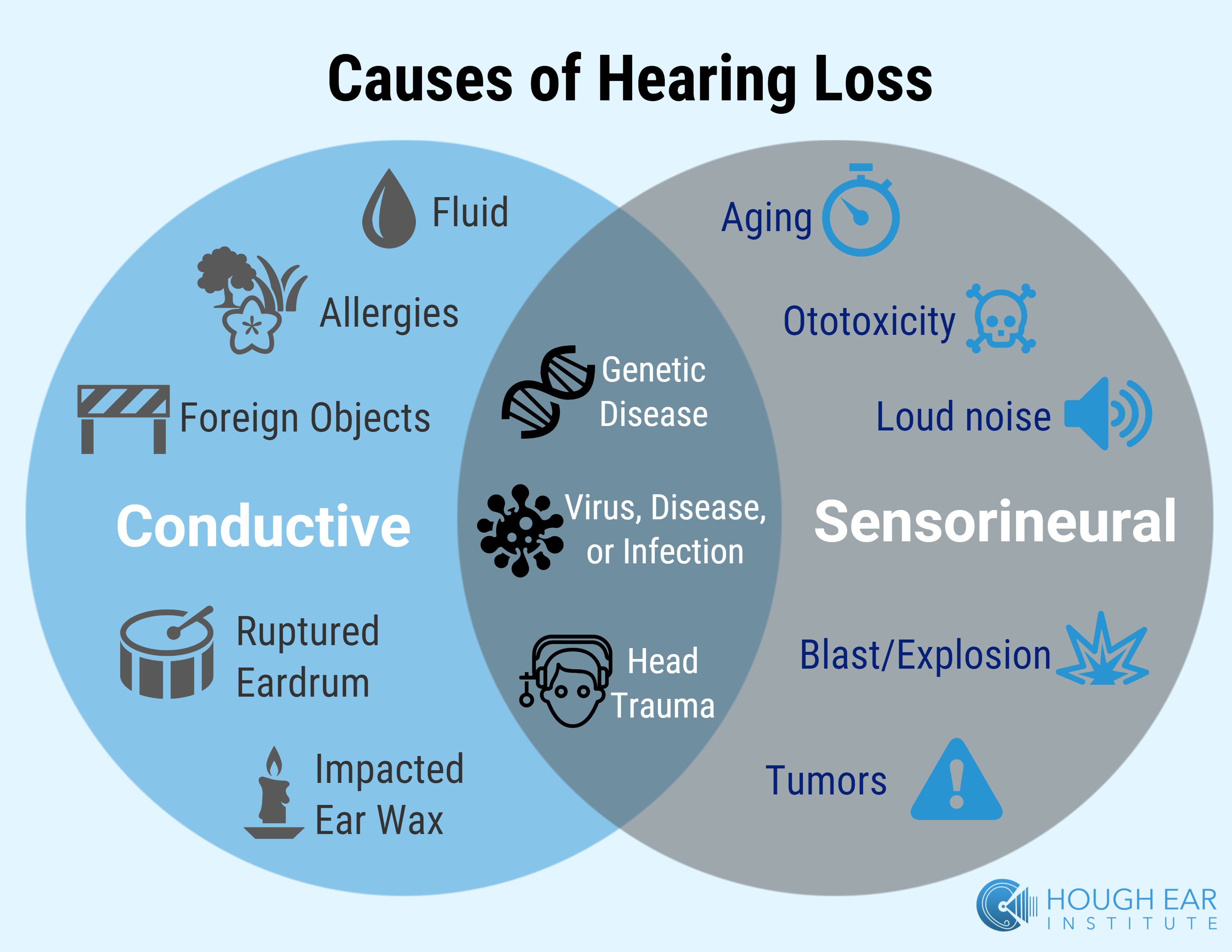 Causes Of Hearing Loss (3300x2550), Png Download