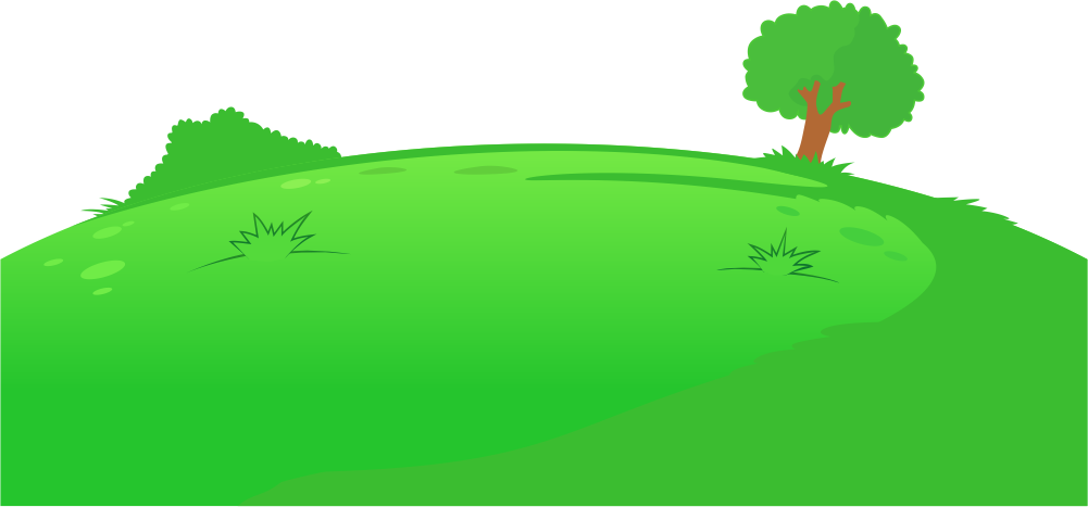 A B C D D D - Grass (1001x467), Png Download