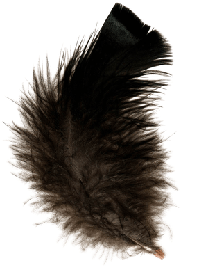 Transparent Background Black Feathers (400x400), Png Download
