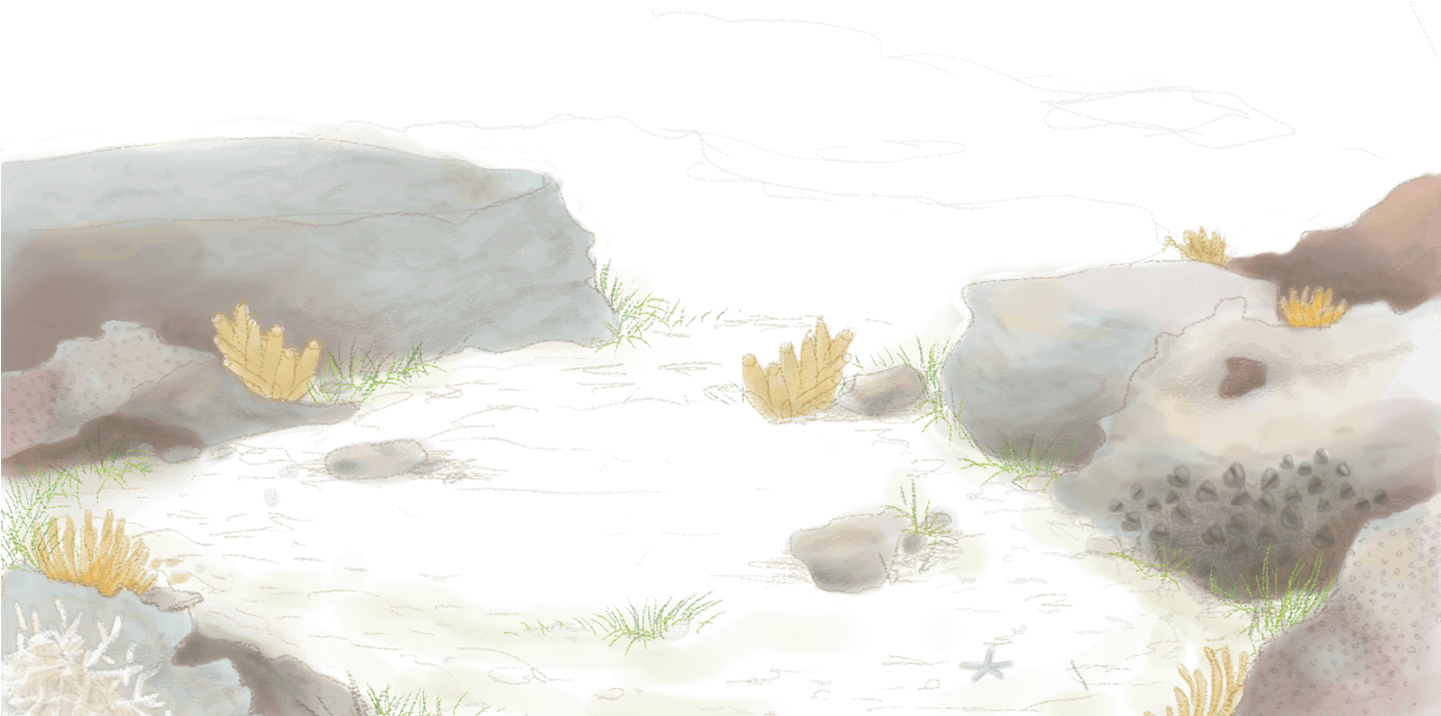 The Young Father, Whose Name Was Karim, Settled His - Watercolor Paint (1440x729), Png Download