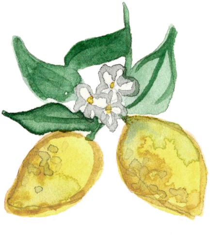 Lemons - Lily Of The Valley (610x562), Png Download