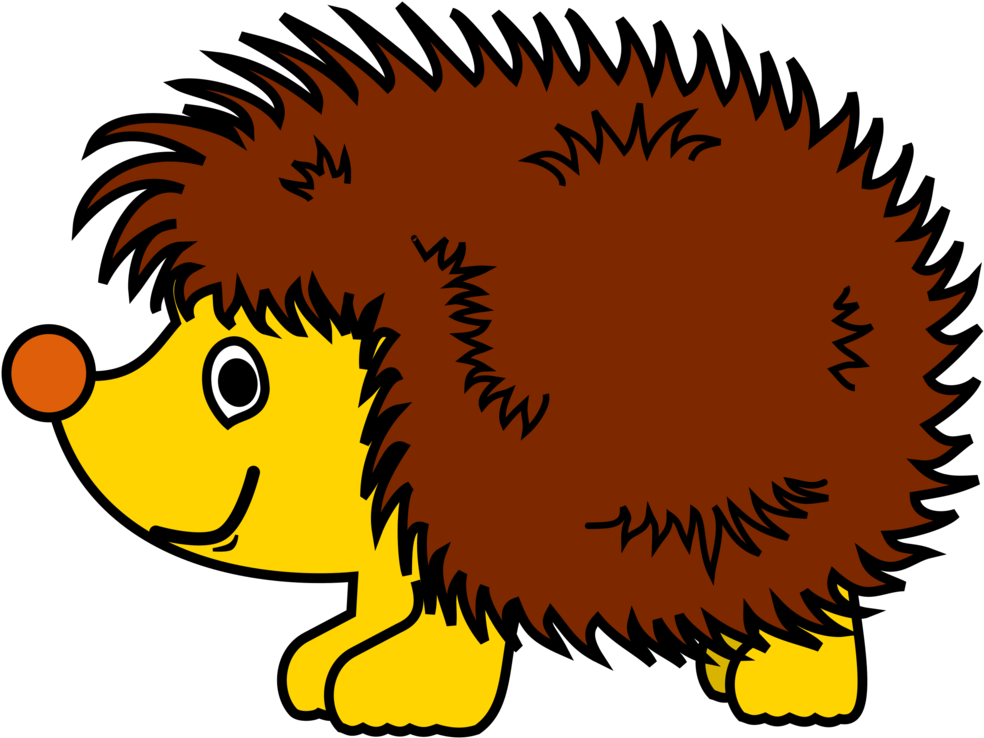 Baby - Hedgehog Clipart (800x603), Png Download