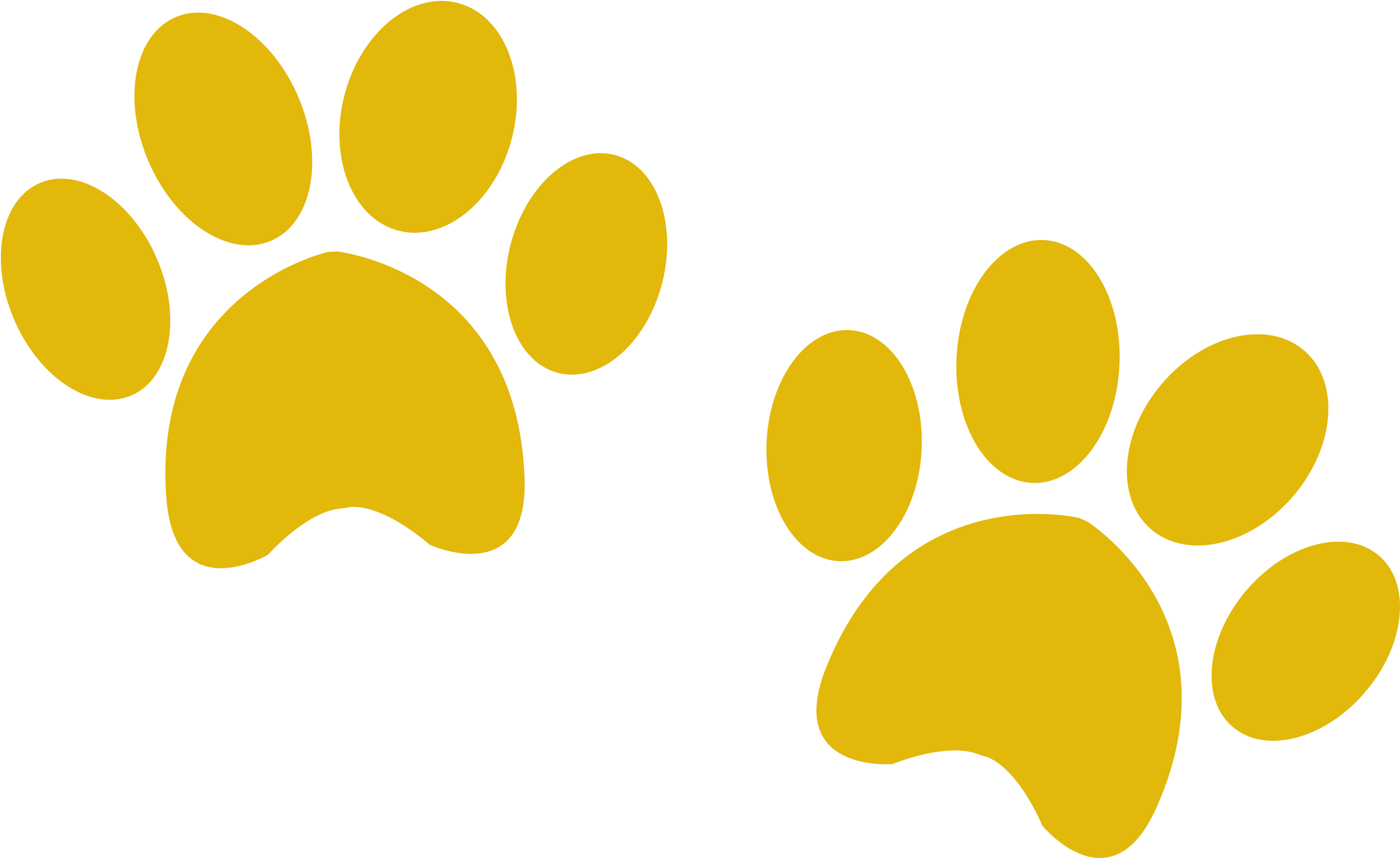 All Our Cottages Are Very Close To Dog Friendly Pubs - Yellow Paw Prints Png (2682x1737), Png Download