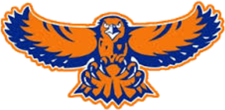 The Hoffman Estates Hawks - Hoffman Estates High School Logo (720x720), Png Download