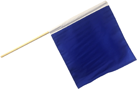 Motorcycle Racing Outside Flag - Blue Flag Racing (460x368), Png Download