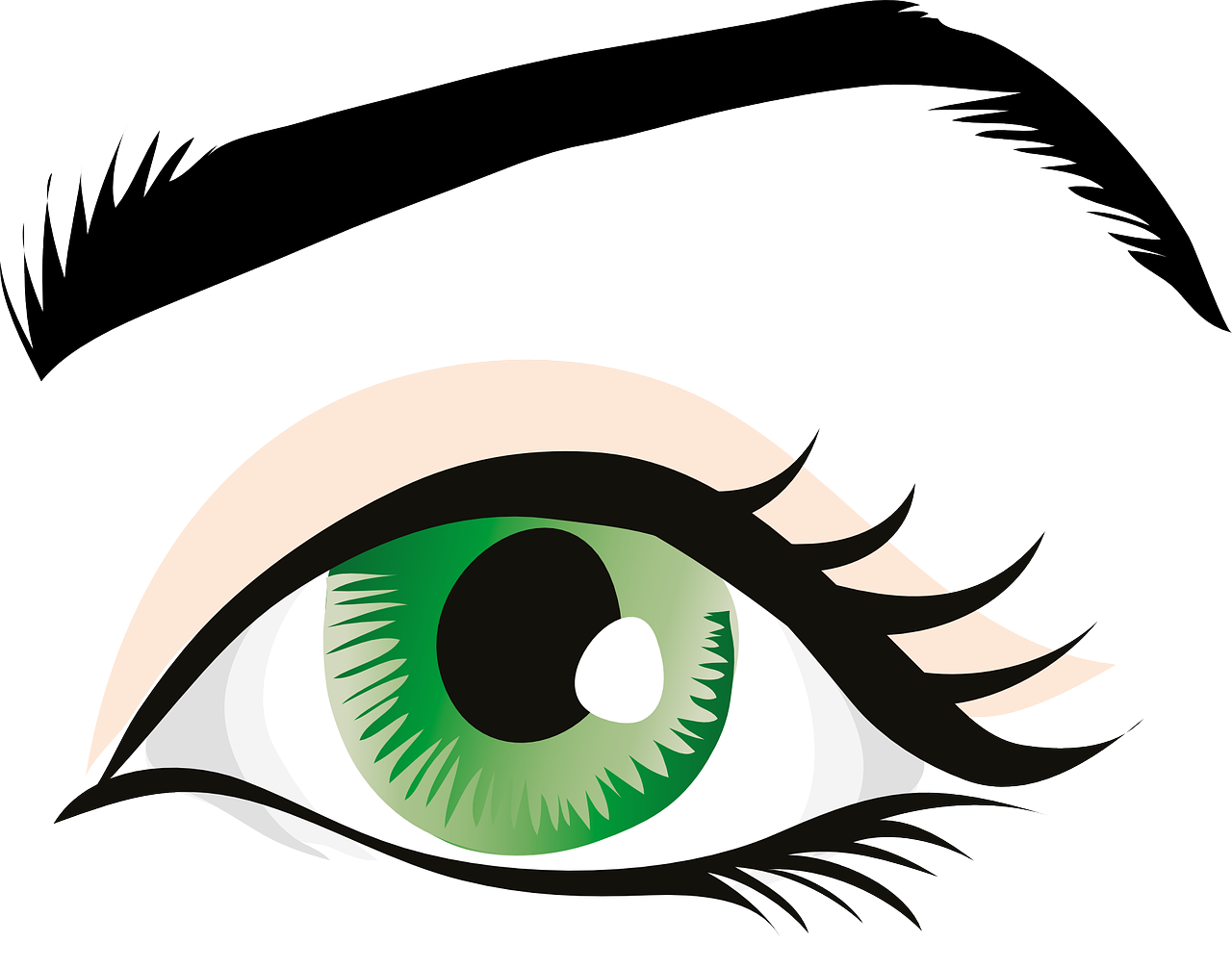 Eye Clipart Eyebrow - Human Eye Clip Art (1280x1006), Png Download