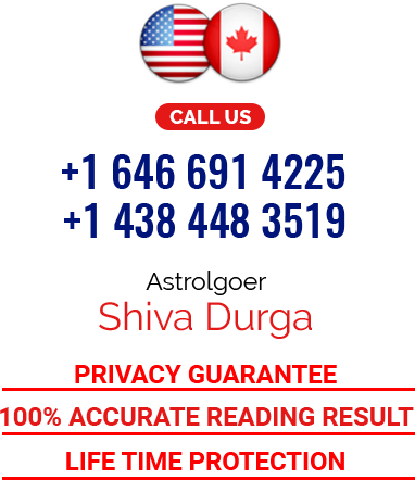 Indian Astrologer In Usa And Canada - Canada (382x442), Png Download