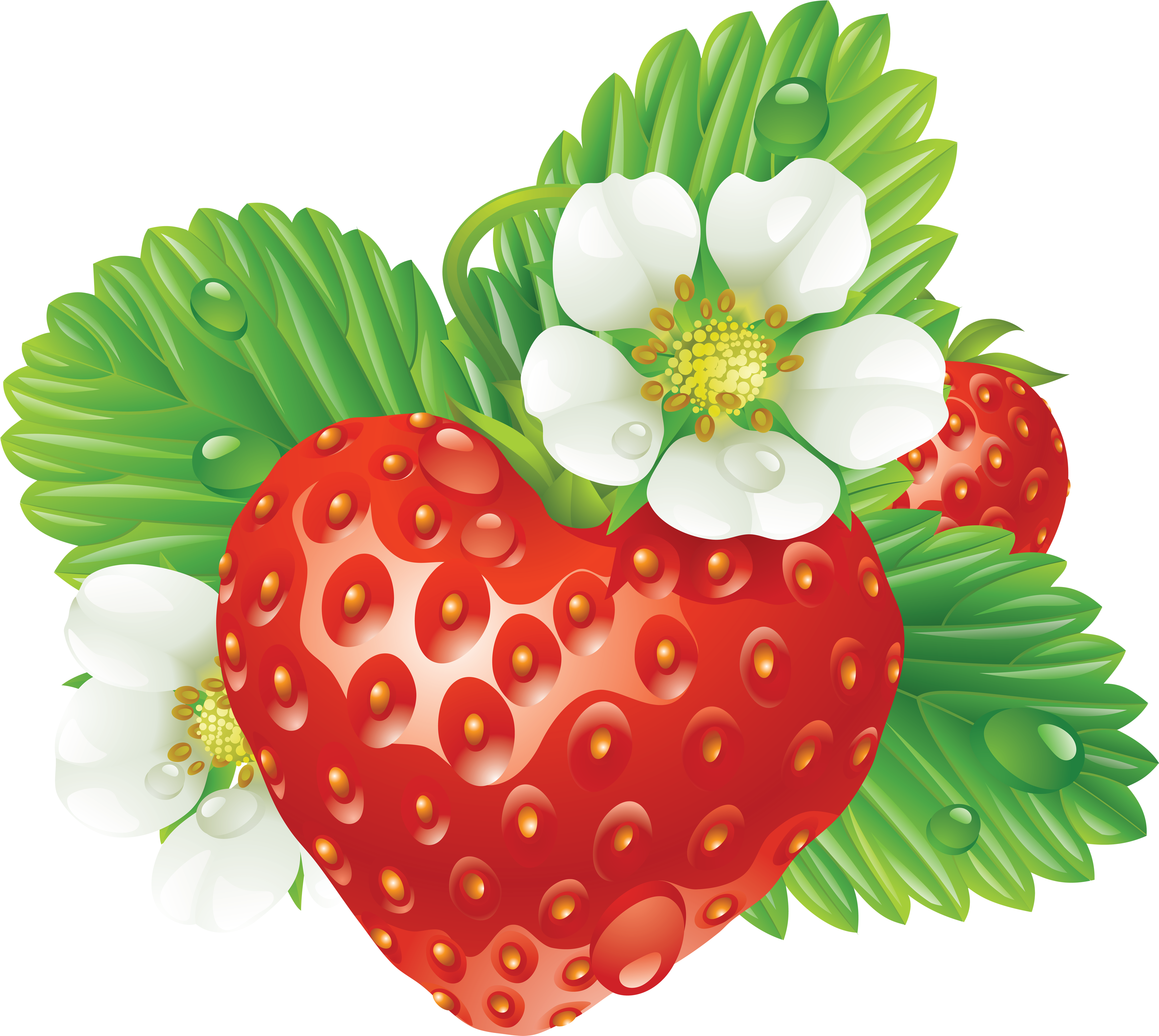 Strawberry Heart-shaped Png Image - Straberry Heart Square Car Magnet 3" X 3" (3494x3124), Png Download