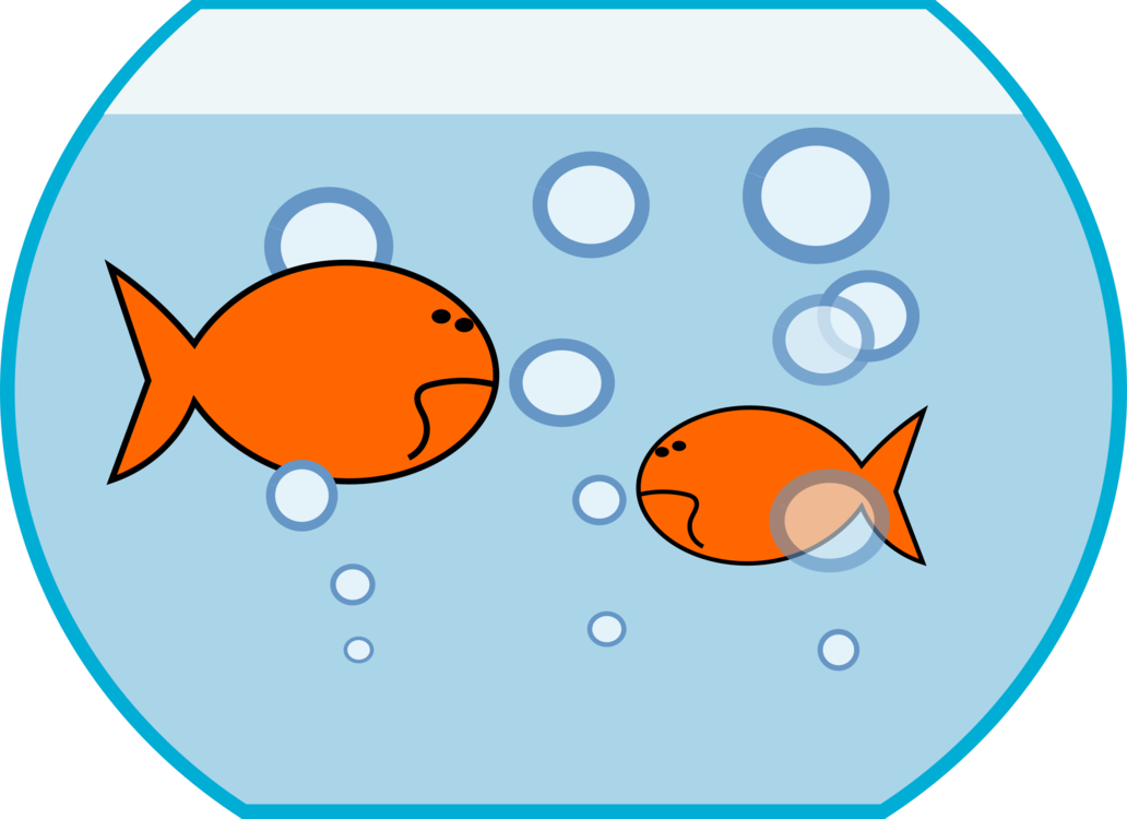 Goldfish Aquarium Siamese Fighting Fish Can Stock Photo - Fish In Tank Clipart (1032x750), Png Download