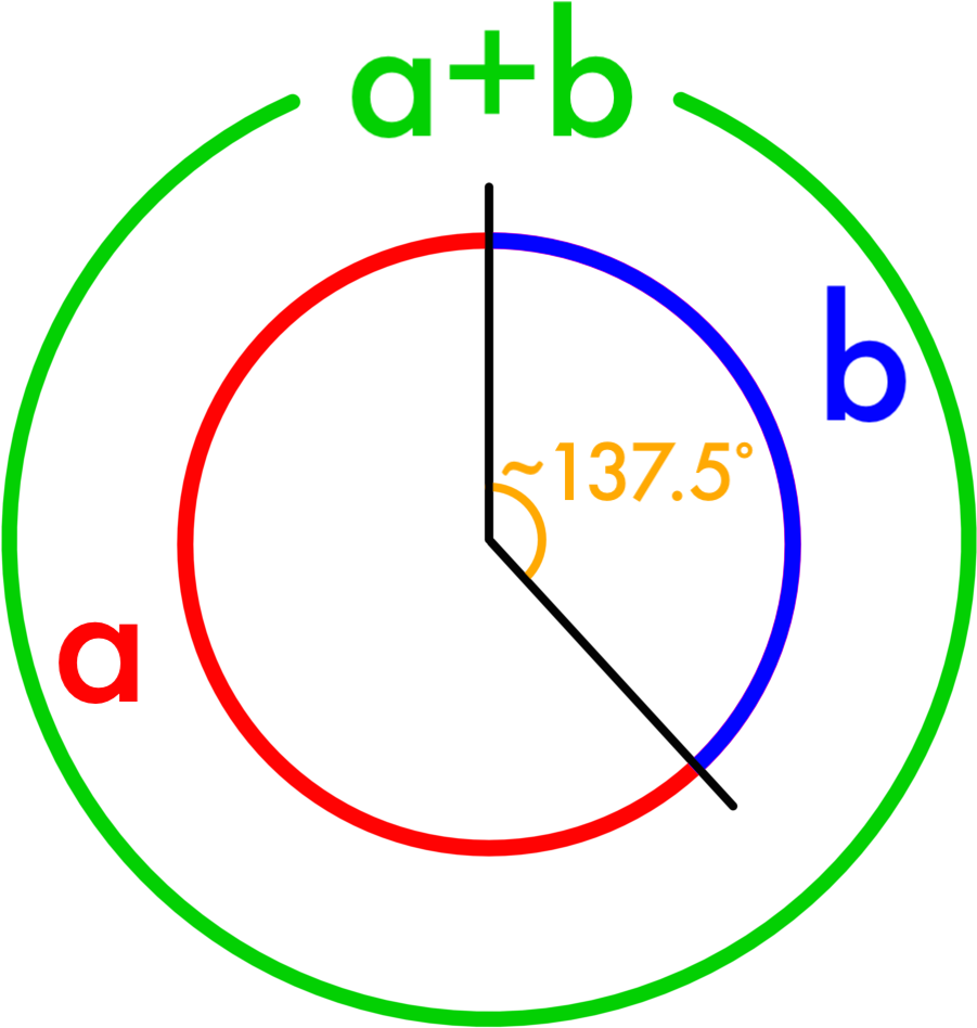 Golden Angle Color - Circle (935x973), Png Download