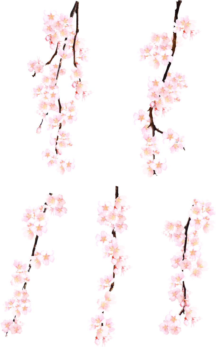 Romantic Pink Flowers Hand-painted Elements - Watercolor Cherry Blossoms Branch (1024x1536), Png Download