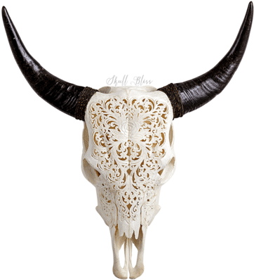 Carved Cow Skull // Xl Horns - Cow Skull (430x430), Png Download