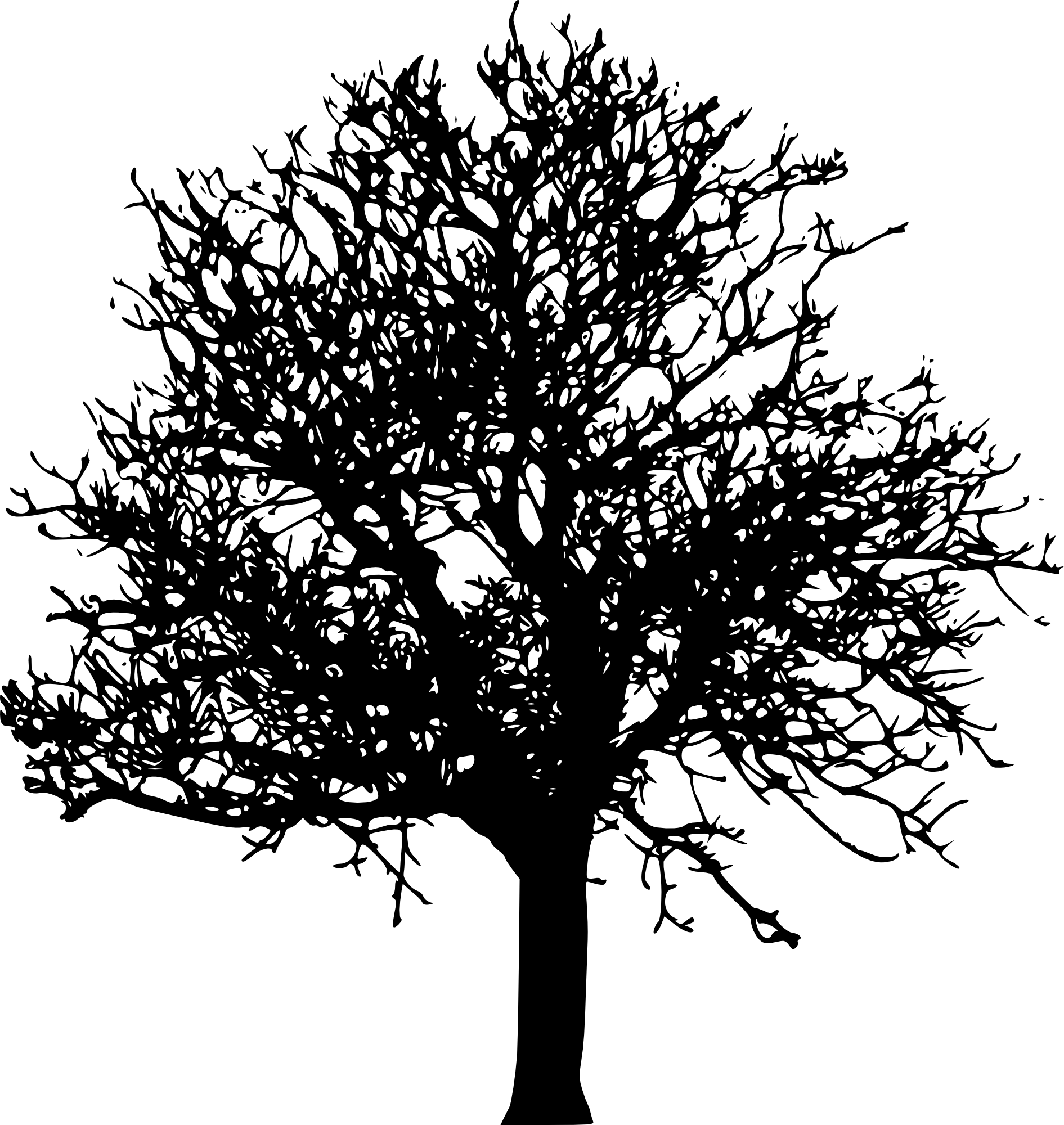 Free Download - Tree Silhouette Transparent Background (1891x2000), Png Download