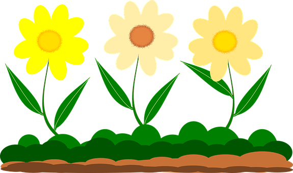 Yellow Flower Vector Image Garden Garden G - Gambar Kartun Taman Bunga (575x340), Png Download
