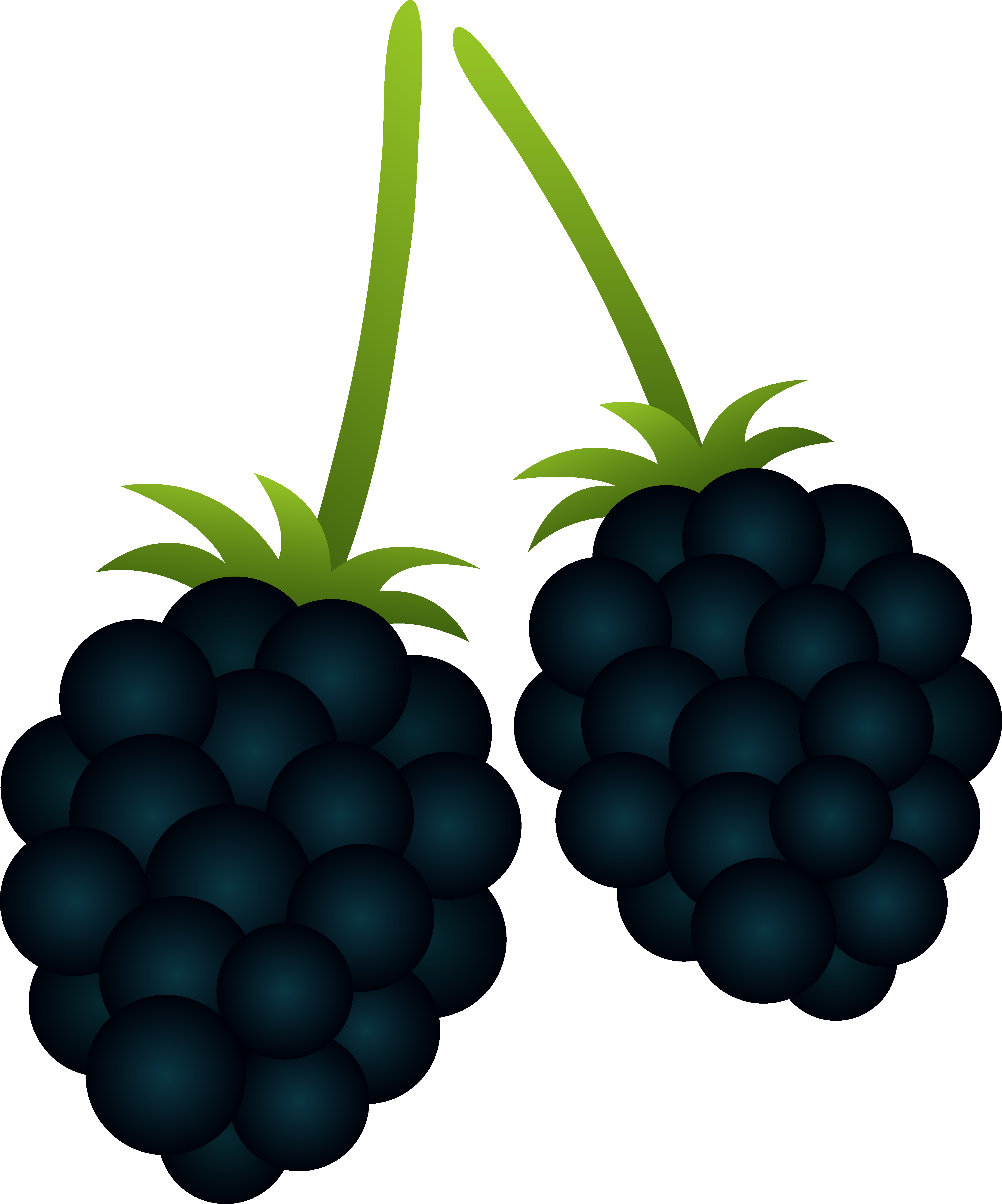 Two Blackberries Free Clip Art - Blackberries Clip Art (4590x5515), Png Download