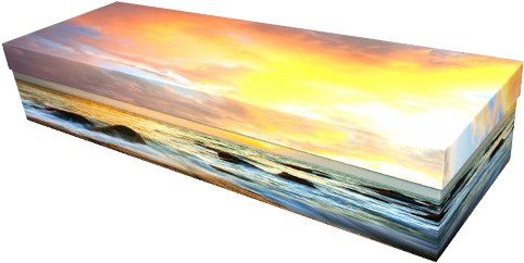 Cardboard Caskets - Coffin (489x248), Png Download