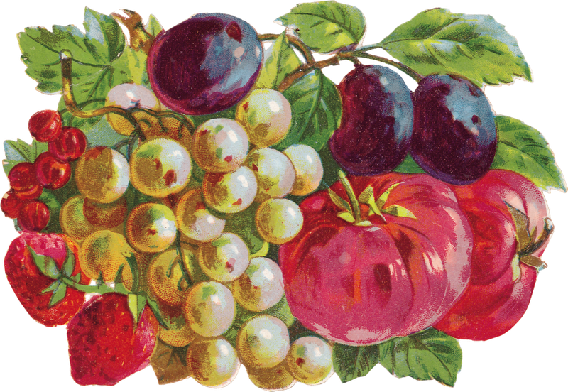 Clipart Resolution 800*552 - Seedless Fruit (800x552), Png Download