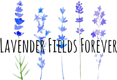 Lavanda Flor Aquarela (488x358), Png Download