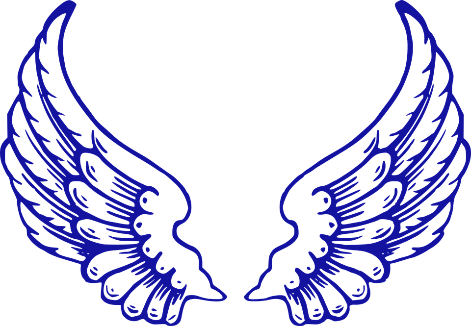 Wings Angel Country Free Vector Graphic On Pixabay - Angel Wings (960x665), Png Download