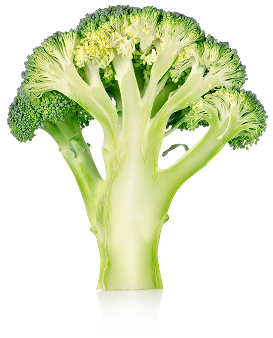 Broccoli Png No Background - Broccoli Cut (550x681), Png Download
