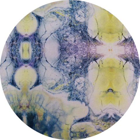 Nina Maya Yellow - Circle (480x480), Png Download