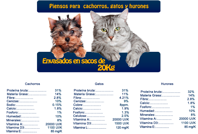 Forzecan Gatos - You're Only Young Twice (1200x670), Png Download