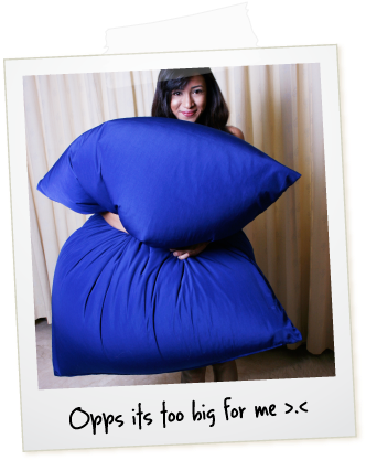 Too Small Pay For The Difference And Get A Large The - Bean Bag (339x422), Png Download