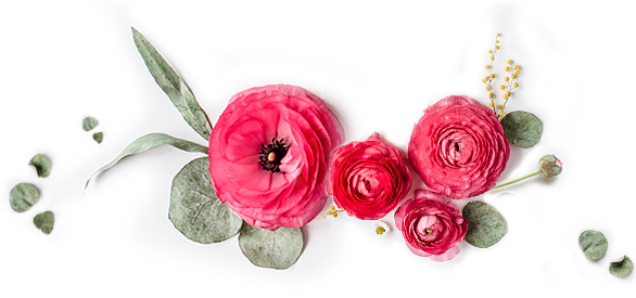 Floristerias Albacete - Pink Tassel Earrings, Tassel Jewelry, Bridesmaid Tassel (630x280), Png Download