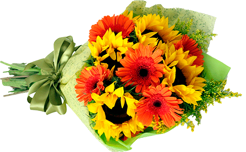 Ramo De Girasoles Con Gerberas Naranjas - Arreglo De Girasoles Y Gerberas (500x310), Png Download