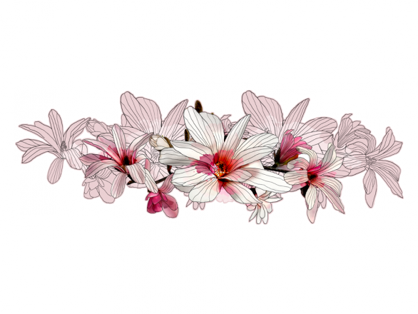 Ramo De Flores - Cascata Di Fiori Png (586x440), Png Download