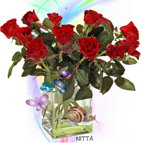 Un Ramo De Bellas Rosas Se Las Voy A Regalar A Mi Poeta - Všetko Najlepšie K Narodeninám (500x502), Png Download