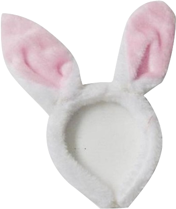 Rabbit (1024x767), Png Download