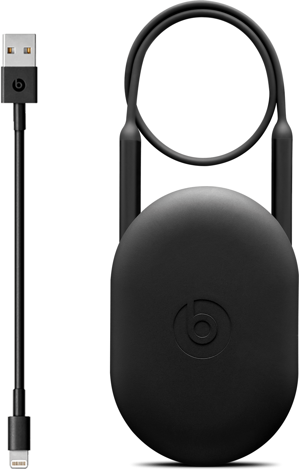Beatsx Wireless Earphones - Beats In Ear Case (2000x2000), Png Download