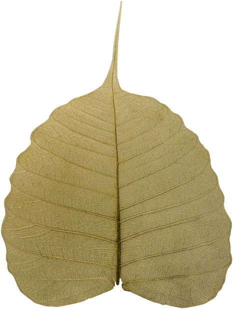 Religiosa,sacred - Stock.xchng (500x666), Png Download