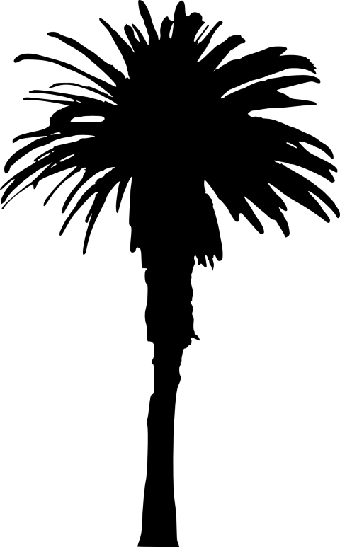 Free Png Palm Tree Png Images Transparent - Single Palm Tree Silhouette (480x773), Png Download