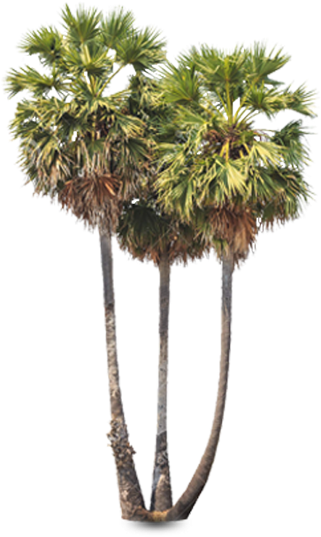 Support Us On - Pagoda In Cambodia Png (363x630), Png Download