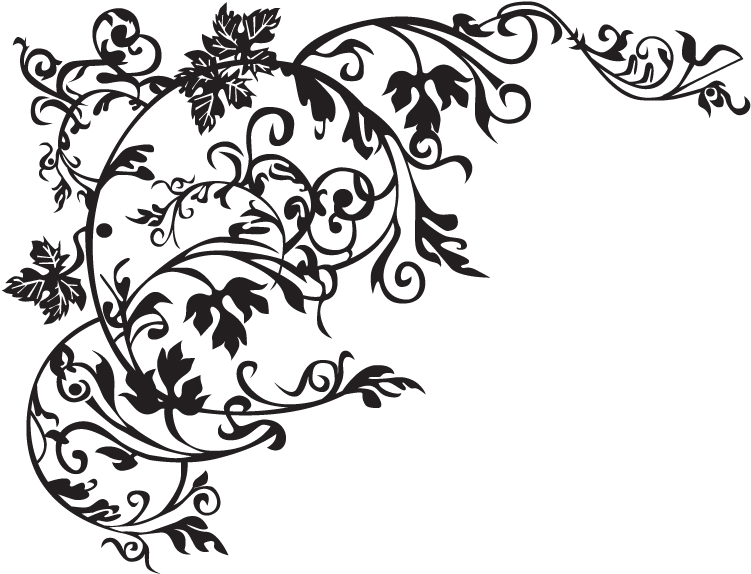 Wall Mural Ornament - Plant Ornament (800x800), Png Download