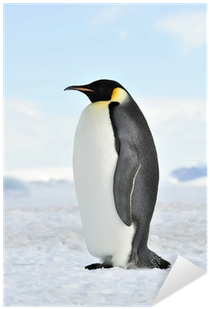 Emperor Penguin (400x400), Png Download