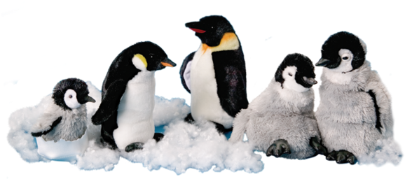 Douglas Pip Emperor Penguin Chick In Egg Shell - Emperor Penguin (600x600), Png Download