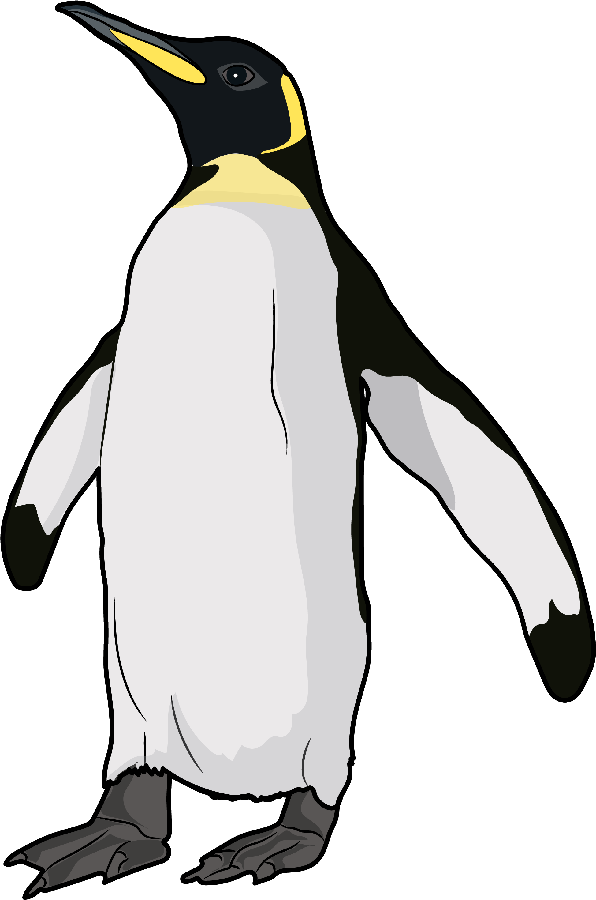 King Penguin (1948x2939), Png Download