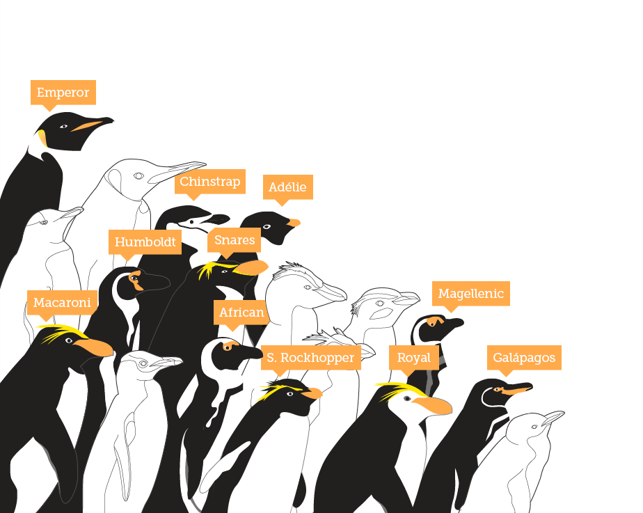 Climate (924x737), Png Download