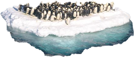 To Display Aggression, Threat Or Competition, Emperor - Penguins On Ice Transparent (606x406), Png Download