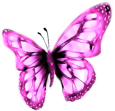 Borboletas Em Hd E Png - Butterfly (400x389), Png Download