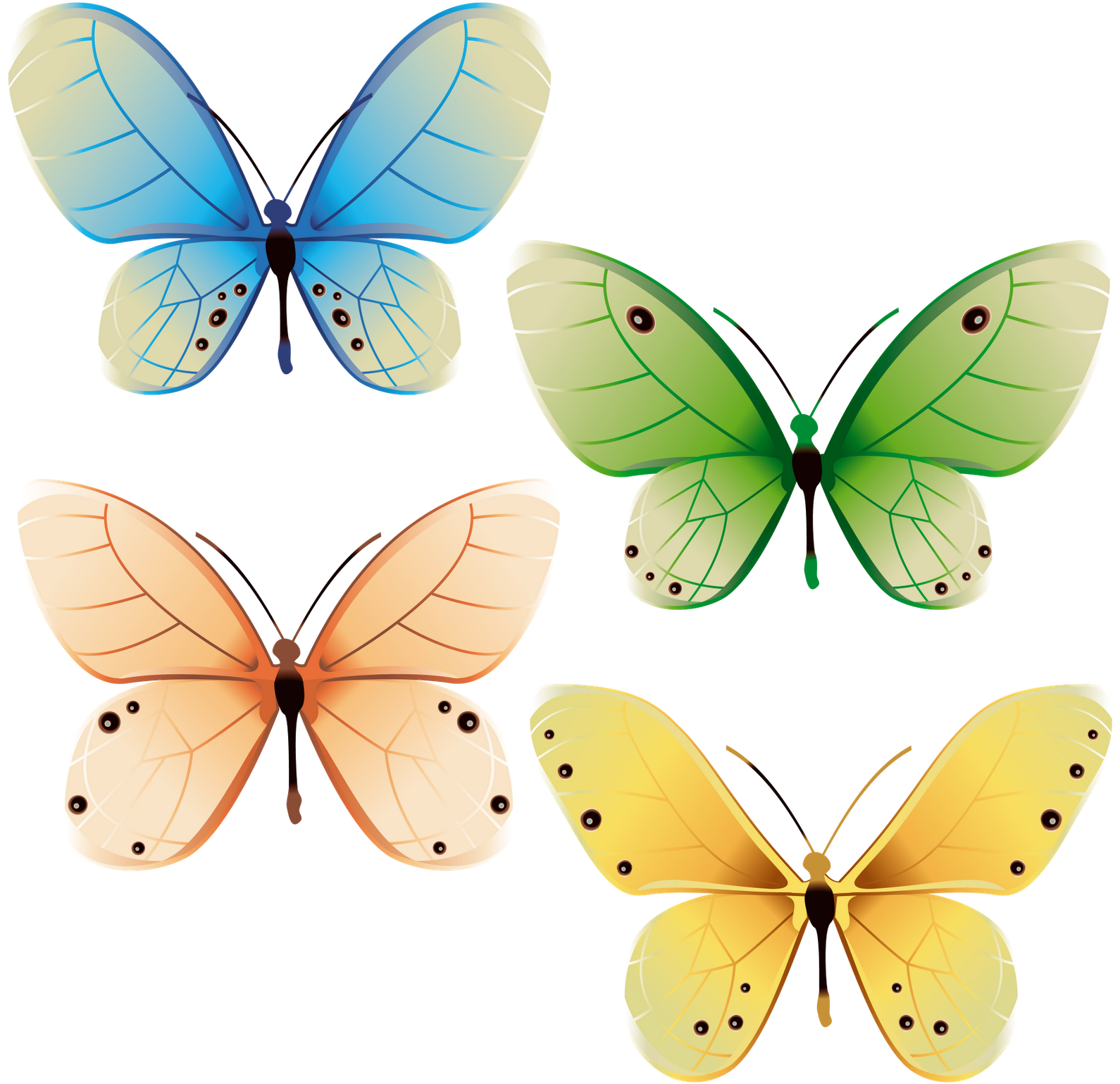 Borboletas Perfeitas - Butterflies Design (1600x1600), Png Download