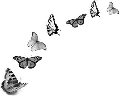 E É Esta Meia Complexidade Da Vida Que Me Fascina E - Christ And Evolution: Wonder And Wisdom (400x322), Png Download