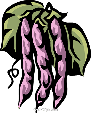 String Beans Royalty Free Vector Clip Art Illustration - Фасоль Пнг (387x480), Png Download