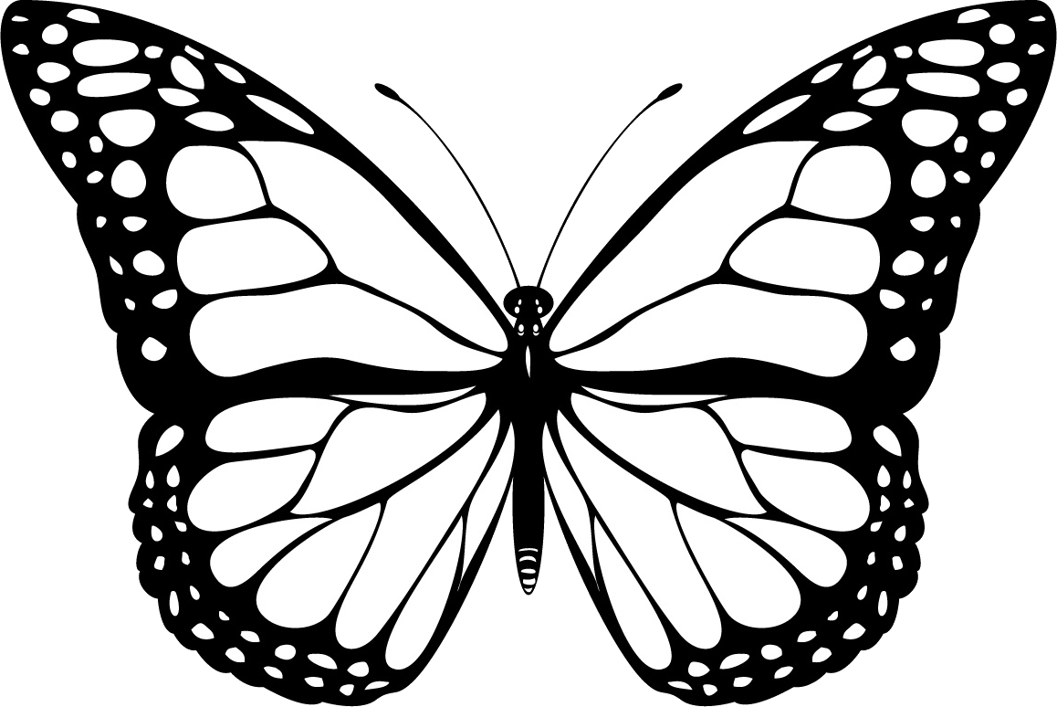 Uma Borboleta Na Ponte De Babel - Hinh Ve Con Buom (1158x774), Png Download