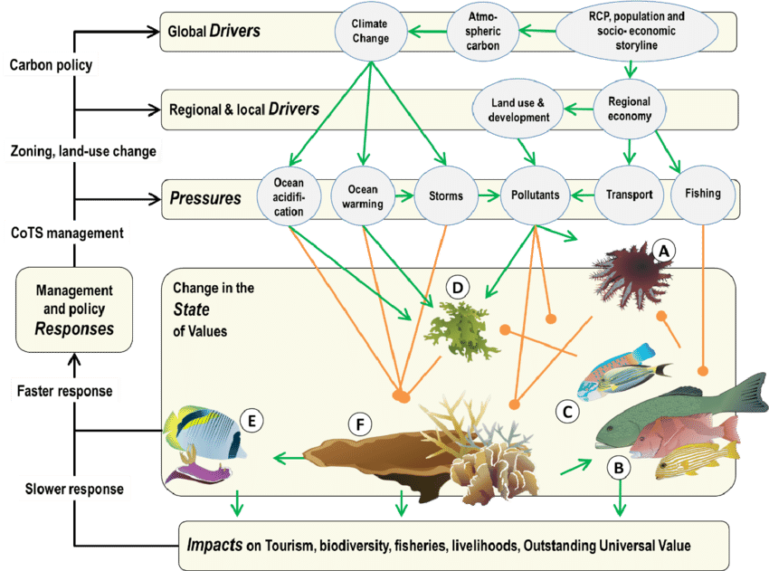 The Model Is Structured Within A Drivers Pressures - Conceptual Model (850x631), Png Download